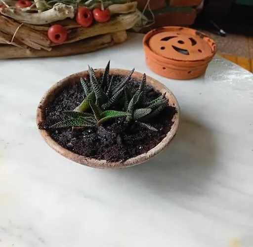 Maria's Holiday home *